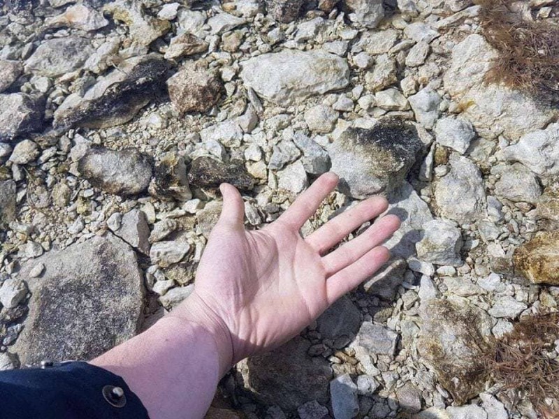 15 удивительных фотографий