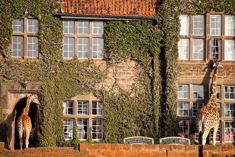 Giraffe Manor, Кения