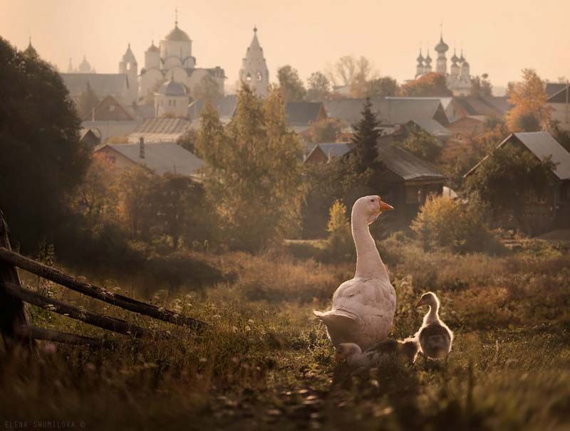 Город Суздаль, Россия