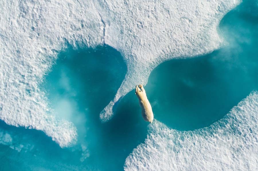 Лучшие фотографии, сделанные дронами