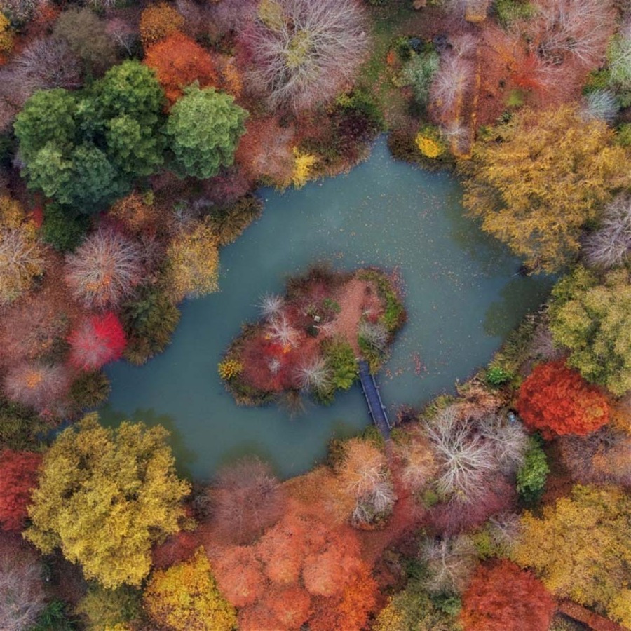 Лучшие фотографии, сделанные дронами