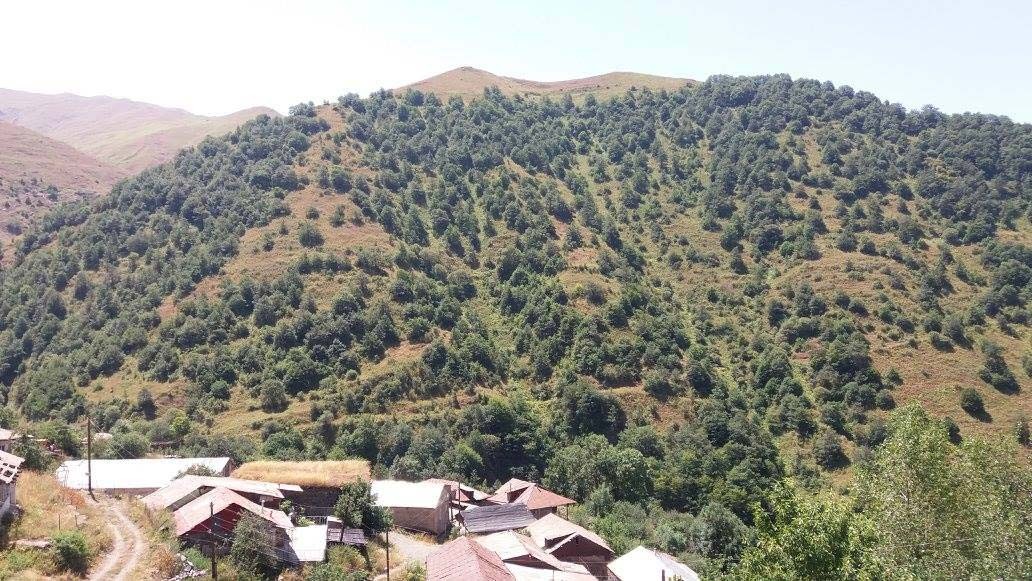 Փուխրուտ