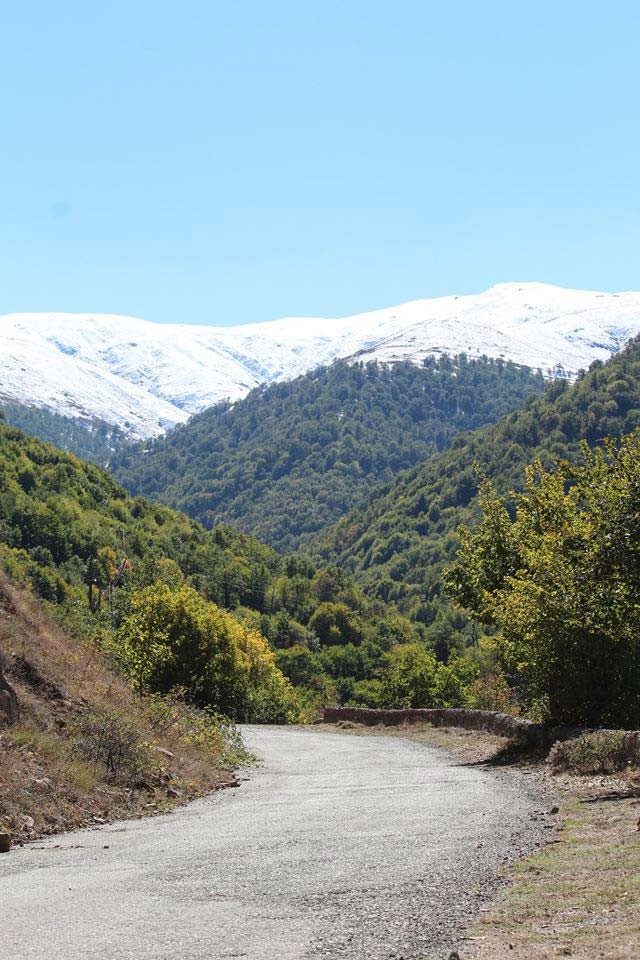 Փուխրուտ