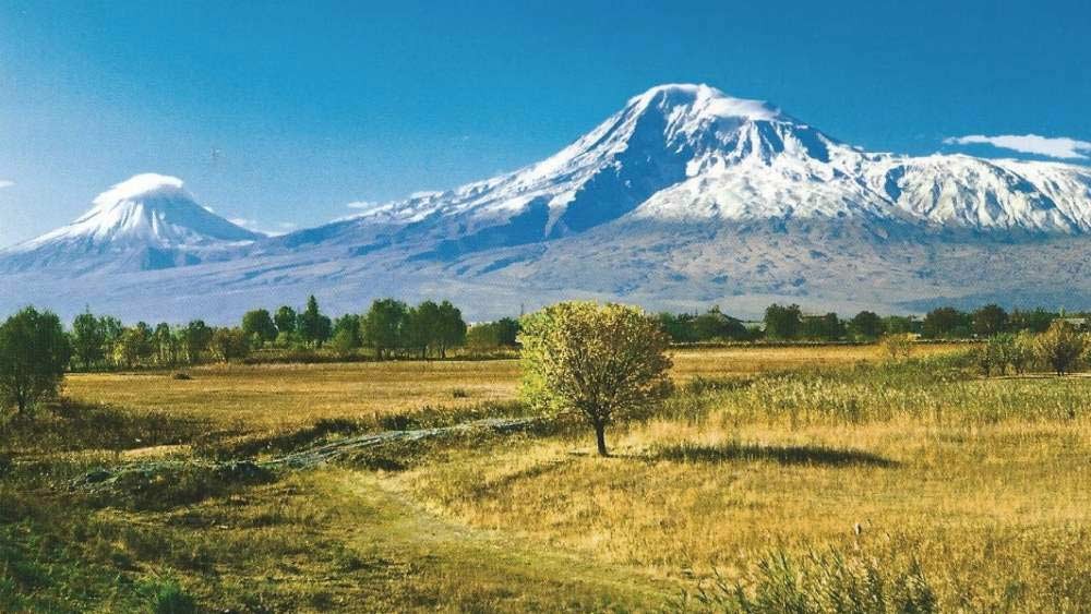 Арарат